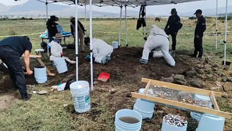 Hallan 219 restos óseos en Chalco y Tláhuac; familias buscadoras exigen justicia