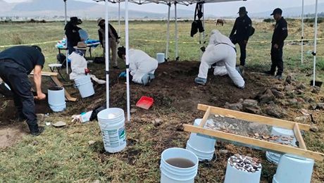 Hallan 219 restos óseos en Chalco y Tláhuac; familias buscadoras exigen justicia