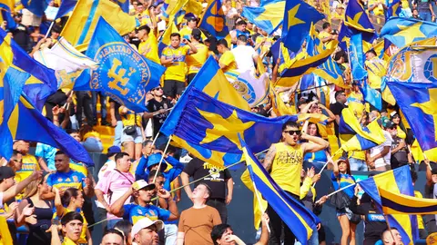¡Violencia! Tigres vs Chivas se mancha por conato de bronca previo al partido