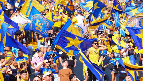 Tigres lanza 'Socio Tigre': así funciona su nuevo programa con recompensas y beneficios exclusivos