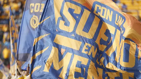 Afición de Tigres | IMAGO7