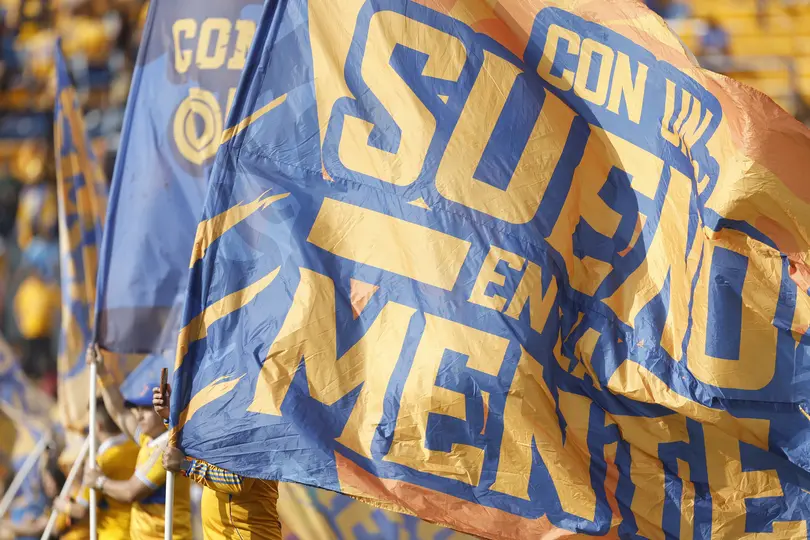 Afición de Tigres | IMAGO7