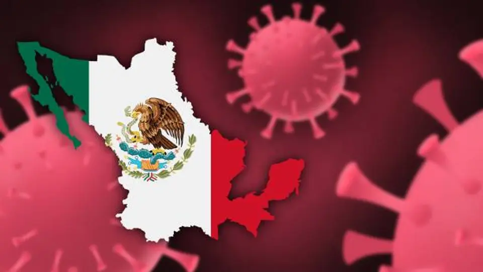 ¿Hay casos de hantavirus en México? Esto informaron las autoridades de salud