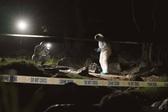 Chihuahua y Guanajuato lideran homicidios en México; concentran 53% de asesinatos en ocho estados