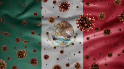 El CONAVE pidió reportar inmediatamente cualquier caso sospechoso relacionado con hantavirus en México. / iStock