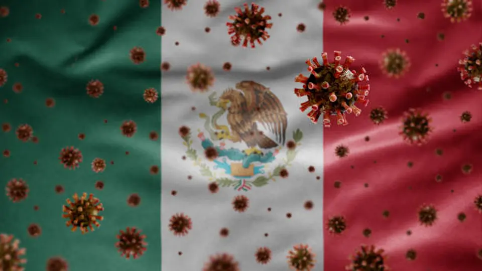 El CONAVE pidió reportar inmediatamente cualquier caso sospechoso relacionado con hantavirus en México. / iStock
