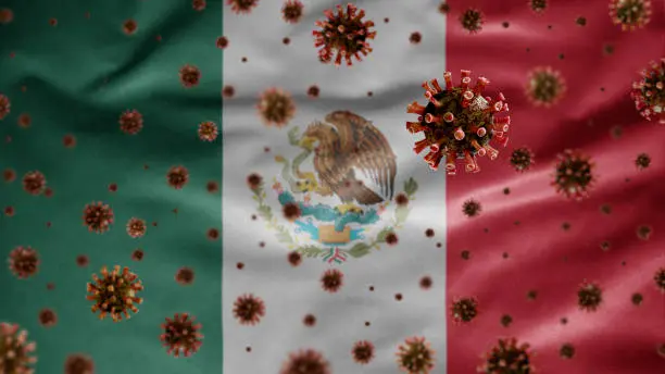 El CONAVE pidió reportar inmediatamente cualquier caso sospechoso relacionado con hantavirus en México. / iStock