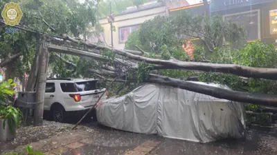 Lluvias desquician la CDMX: Periférico se inunda y reportan caída de árboles