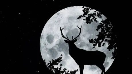Luna de Ciervo 2026: cuándo y a qué hora ver la Luna llena en México