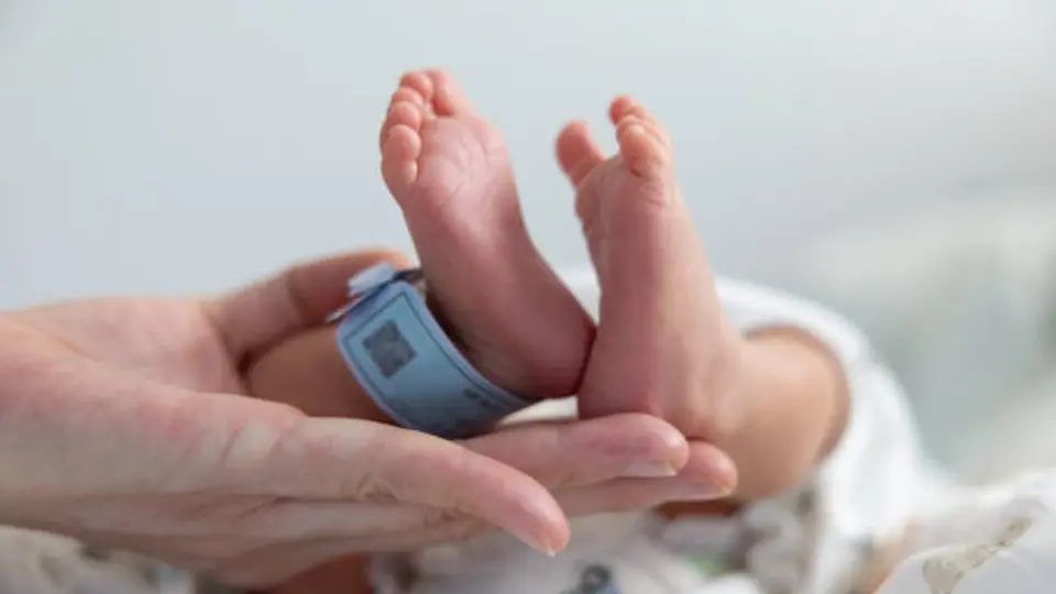Especialistas de la UNAM señalan que factores económicos, laborales, sociales y ambientales influyen en que cada vez más jóvenes decidan posponer la maternidad y la paternidad o no tener hijos./ Pixabay