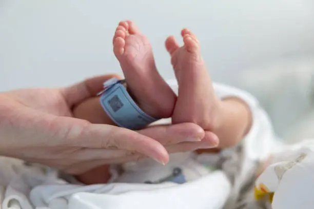 Especialistas de la UNAM señalan que factores económicos, laborales, sociales y ambientales influyen en que cada vez más jóvenes decidan posponer la maternidad y la paternidad o no tener hijos./ Pixabay