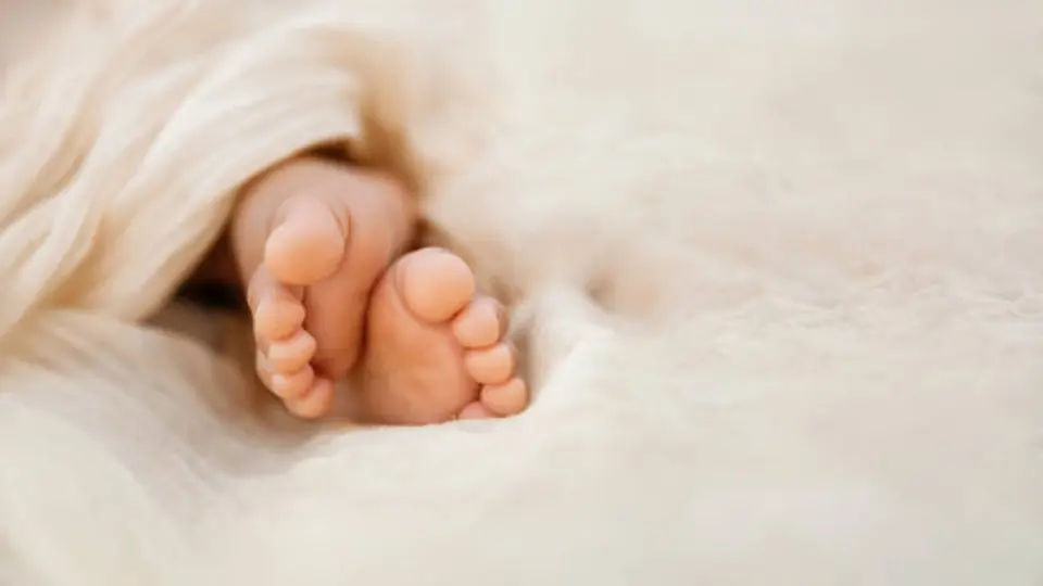 De acuerdo con la UNAM, el promedio de hijos por mujer en México pasó de cerca de siete en la década de 1960 a poco menos de dos en años recientes./ Pixabay