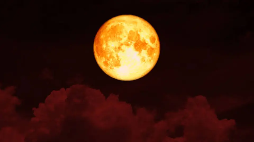 La Luna de Ciervo es el nombre con el que tradicionalmente se conoce a la Luna llena de julio, una denominación heredada de los pueblos originarios de Norteamérica./ Pixabay