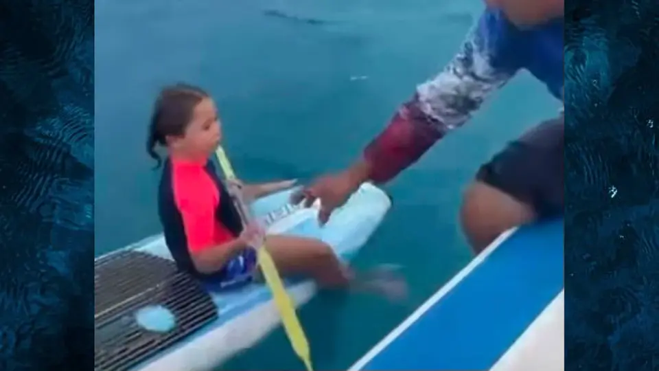 ¡La encontraron sola en medio del mar! Rescatan a niña varada en una tabla de surf en Baja California Sur