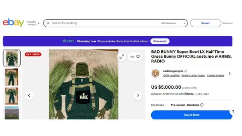 Un disfraz completo de arbusto fue puesto a la venta en una plataforma digital/eBay