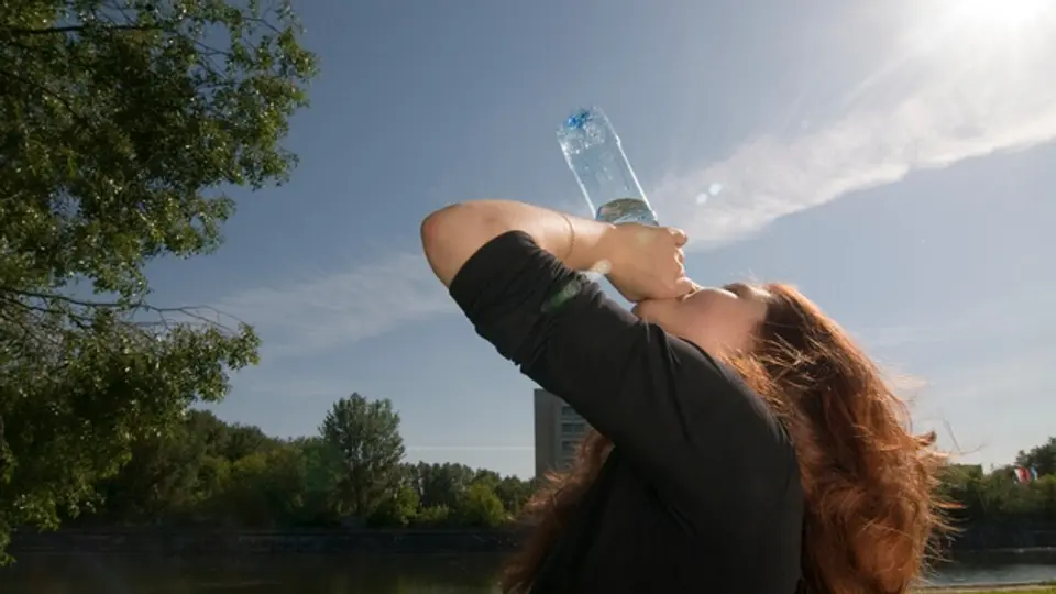 La temperatura global está provocando eventos de calor más frecuentes, intensos y prolongados / FREEPIK