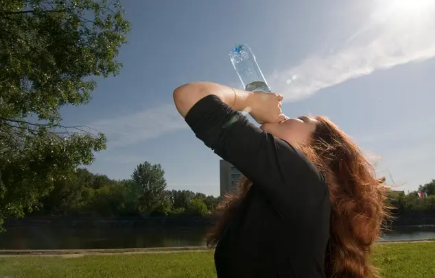 La temperatura global está provocando eventos de calor más frecuentes, intensos y prolongados / FREEPIK