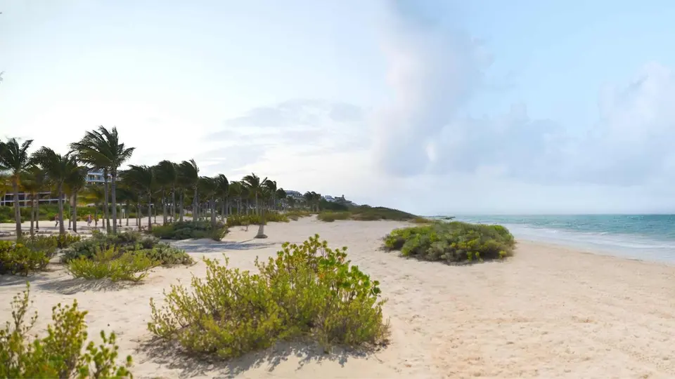 Playa l ESPECIAL