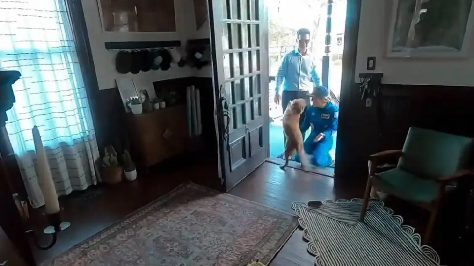 Astronauta de Artemis II es recibida por su perro tras viaje a la Luna