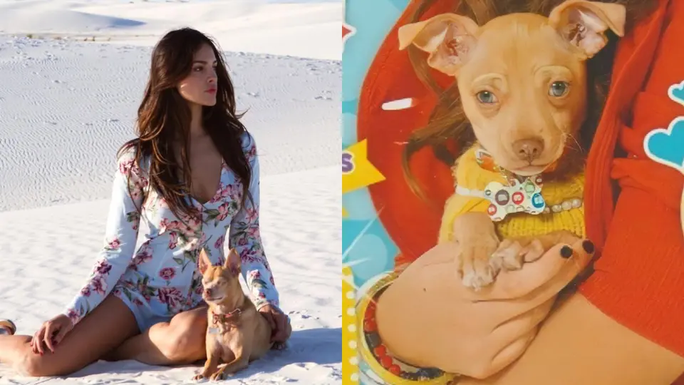 Eiza recordó que Pasita estuvo presente prácticamente durante toda su vida / IG: @eizagonzalez