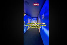 ¡Espectacular! Así es el nuevo restaurante de Tigres