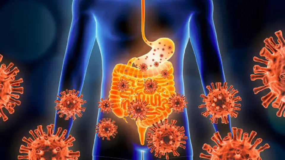 Se reporta un muerto por gastroenteritis; se trataba de un señor de 90 años/Pixabay