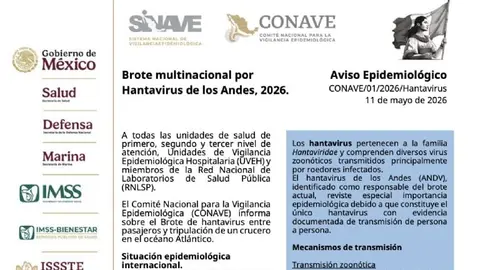 El virus de los Andes es la única variante del hantavirus que puede transmitirse entre humanos./ Secretaría de Salud