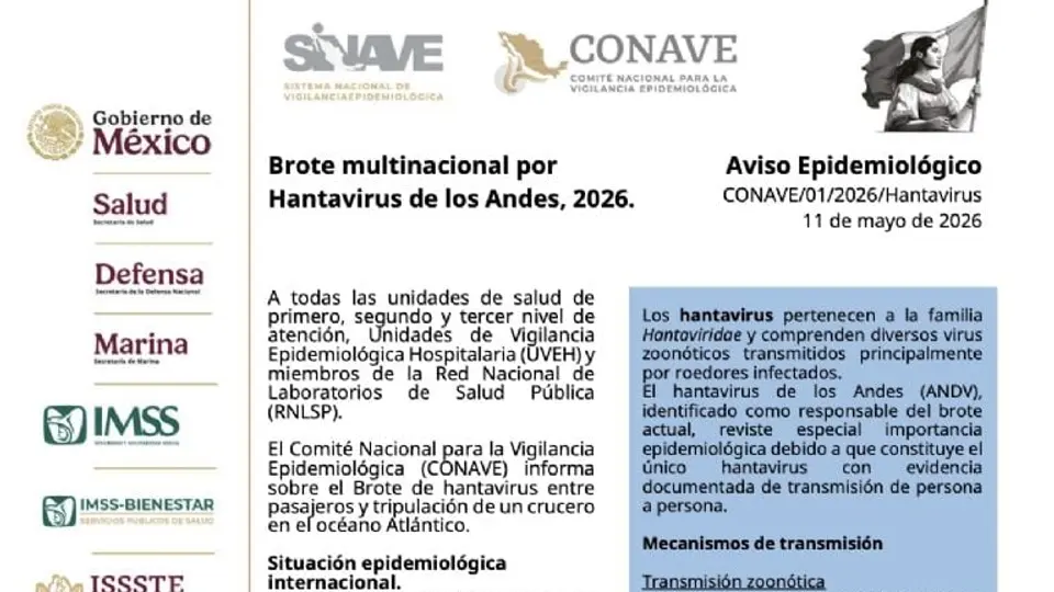 El virus de los Andes es la única variante del hantavirus que puede transmitirse entre humanos./ Secretaría de Salud