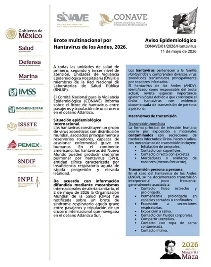 El virus de los Andes es la única variante del hantavirus que puede transmitirse entre humanos./ Secretaría de Salud
