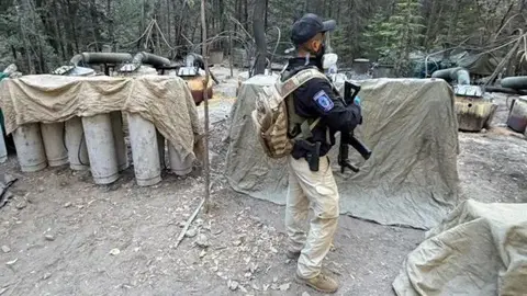 Durante el operativo en la Sierra Tarahumara murieron dos agentes extranjeros / Especial