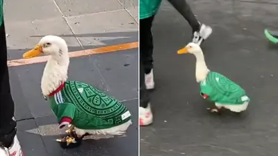 Patito mundialista se vuelve viral por usar playera de la Selección Mexicana / VIDEO