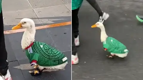 Patito mundialista se vuelve viral por usar playera de la Selección Mexicana / VIDEO
