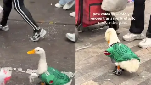 Sus pequeños tenis y camiseta verde llamaron la atención de los aficionados. / RS
