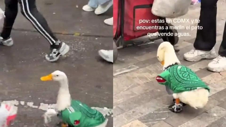 Sus pequeños tenis y camiseta verde llamaron la atención de los aficionados. / RS