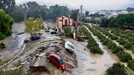 Alertan por 'El Niño': prevén que sea un fenómeno meterológico histórico