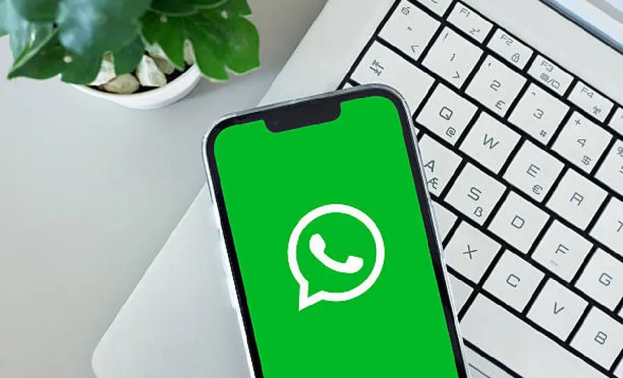 Los usuarios pueden revisar la versión de Android de su teléfono para saber si seguirá siendo compatible con WhatsApp. / iStock