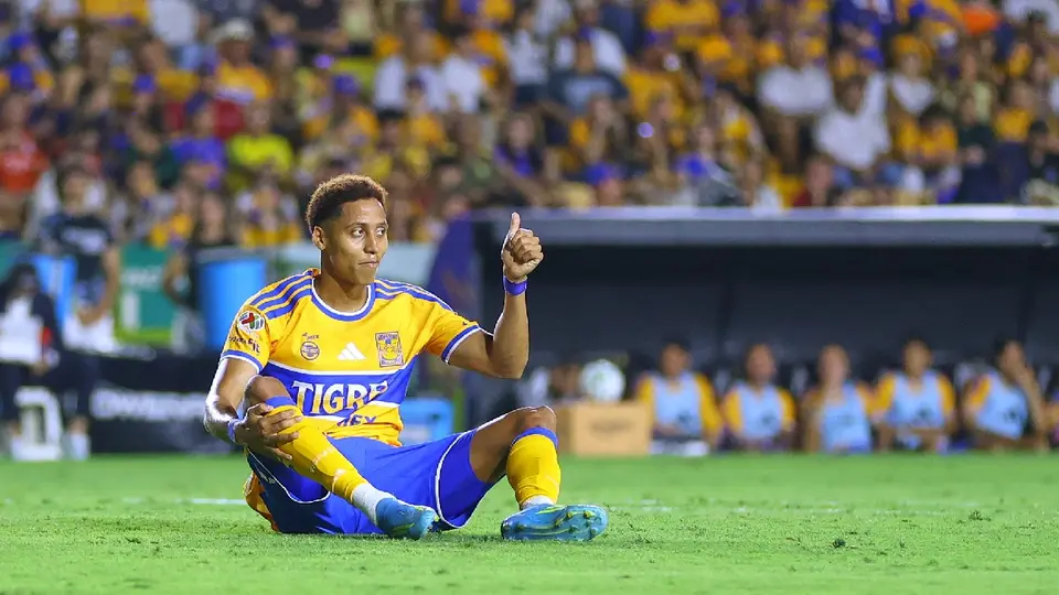 Ozziel Herrera en Tigres | IMAGO7