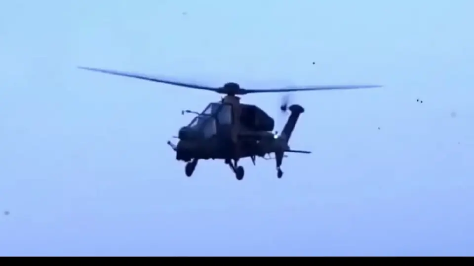 Dos integrantes del Ejército de Estados Unidos murieron tras el accidente / Especial