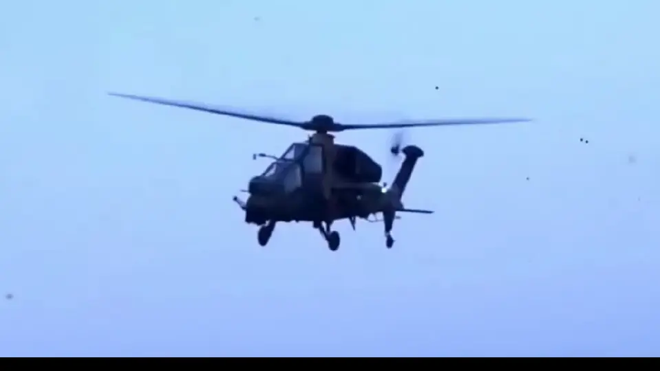 Dos integrantes del Ejército de Estados Unidos murieron tras el accidente / Especial