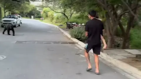 ¡Insólito! Ángel Correa tuvo encuentro con un oso