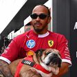 Lewis Hamilton se emociona con un tierno retrato LEGO de su perro Roscoe hecho por fans