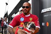 Lewis Hamilton se emociona con un tierno retrato LEGO de su perro Roscoe hecho por fans