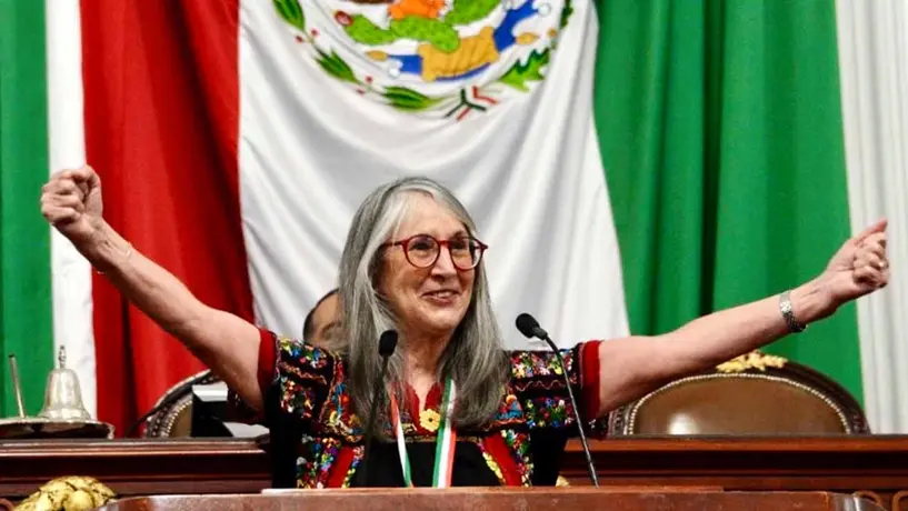 Julieta Fierro, el día que defendió el aborto, la ciencia y la muerte digna ante diputados