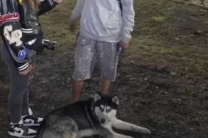 Perrito héroe salva a su dueño segundos antes de la explosión en Iztapalapa