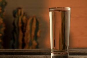 ¿Mezcal del Bienestar? Te decimos cuánto cuesta y dónde comprarlo