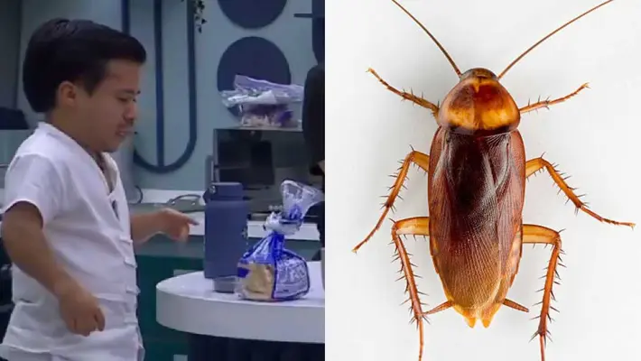 VIDEO: ¡Hay cucarachas en La Casa de los Famosos!