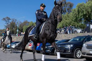 América vs Pumas: ¿Cuál será el operativo de seguridad para el Clásico Capitalino?