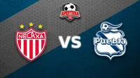 Liga MX: ¿Cuándo y dónde ver Necaxa vs Puebla?