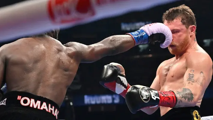 ¿Revancha en el horizonte? Canelo Álvarez vs Terence Crawford
