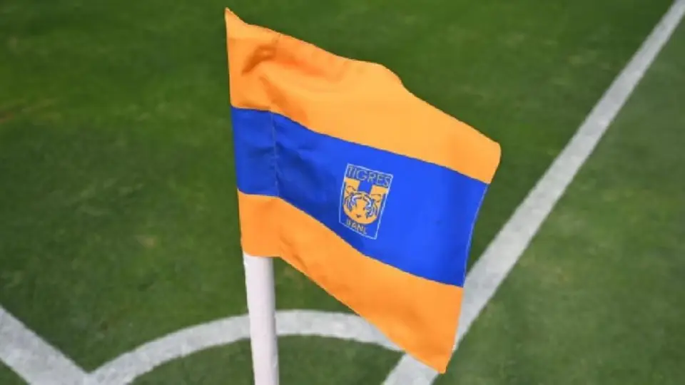 Tigres anuncia castigo tras hechos violentos en el partido ante América